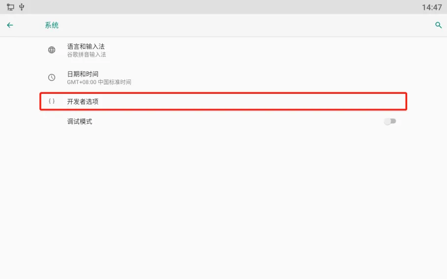 Developer options page