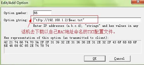 새 DHCP option 추가